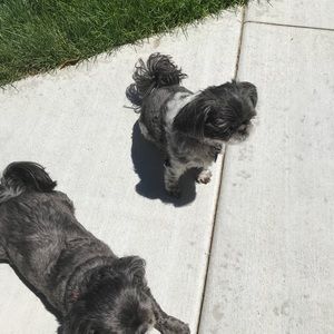 Meet your Posher, Regan